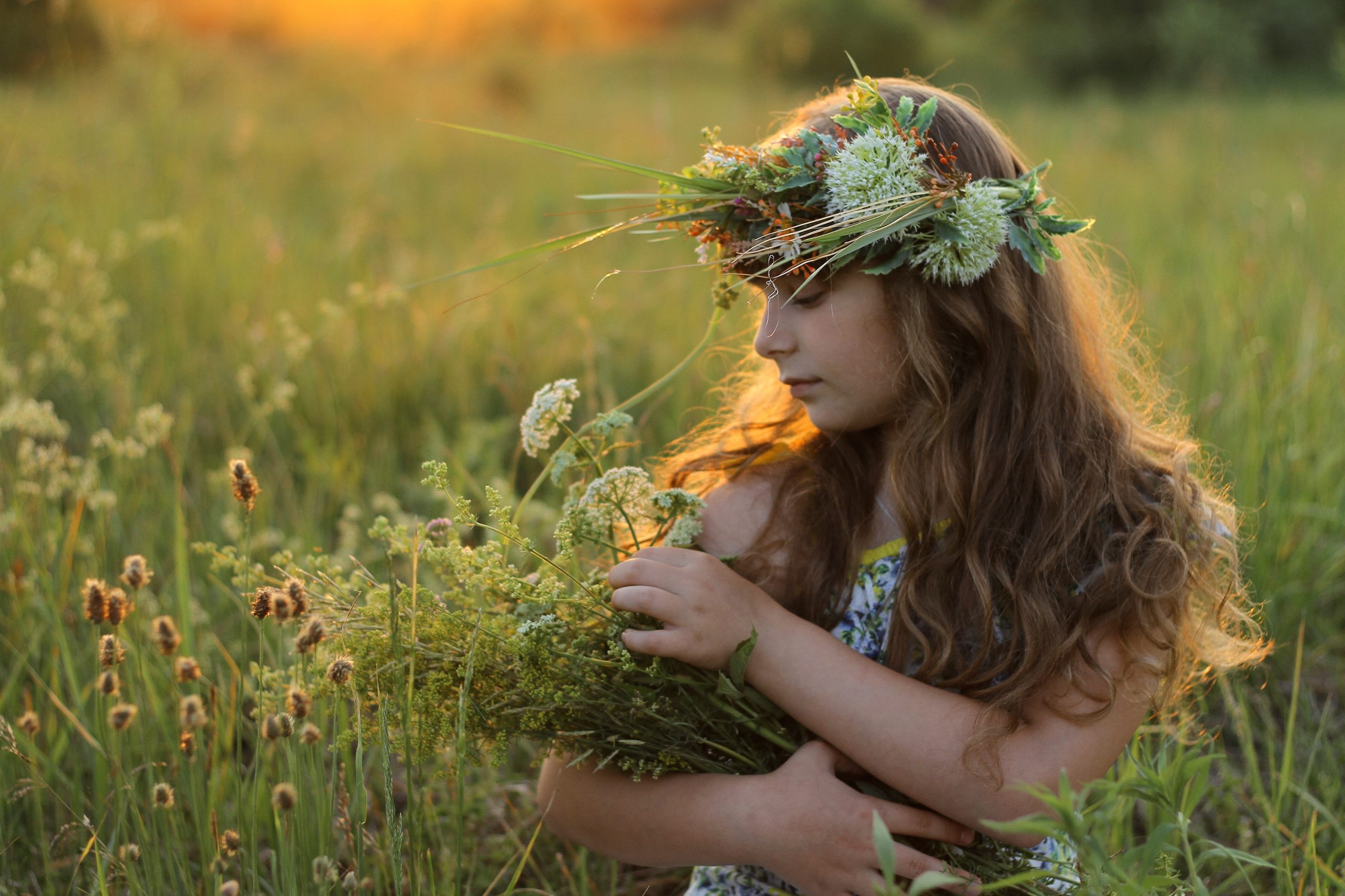 a-girl-with-a-bouquet-of-wild-flowers-on-a-summer-2024-12-04-10-48-51-utc