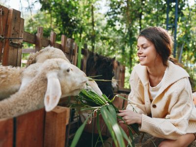 Soins des animaux au naturel Niveau 1 – Initiation