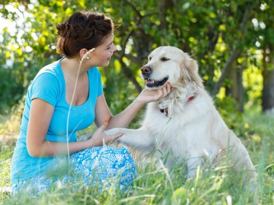 Communication animale Niveau 4 – Devenir praticien en communication animale responsable