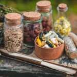 Herboristerie Niveau 5 – Approfondissement thématique : Traitement des addictions