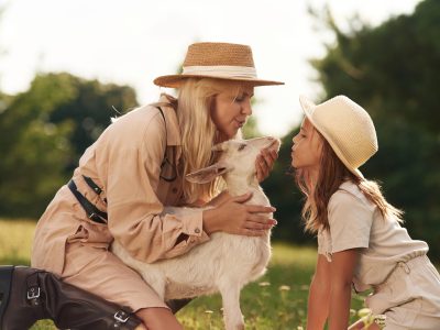 Communication animale Niveau 1 – Initiation