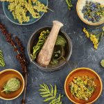 Herboristerie Niveau 0 – Découverte de l’herboristerie