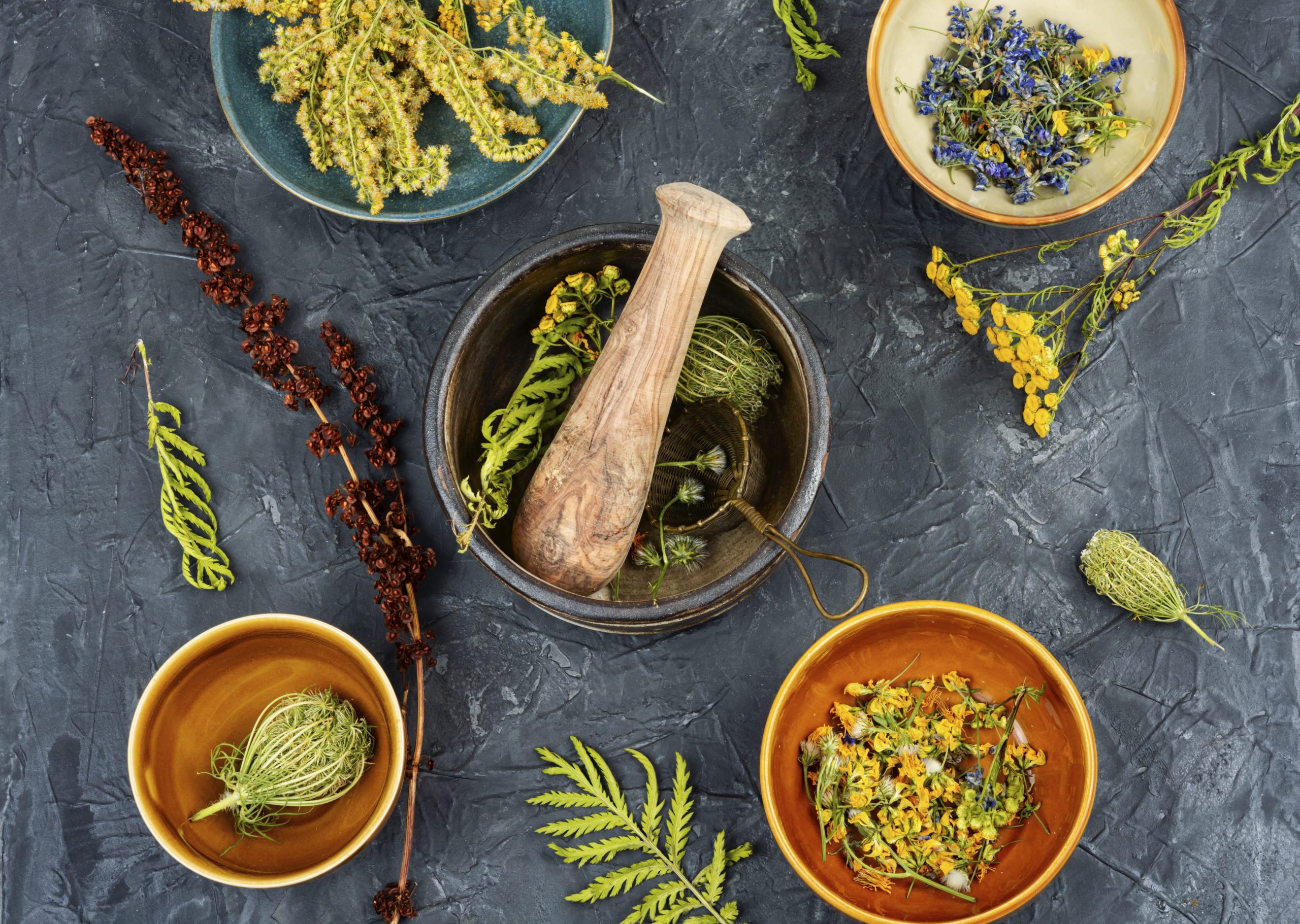 medicinal-herbs-alternative-medicine-2024-12-13-14-23-56-utc