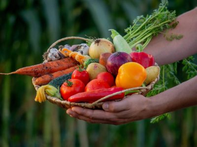 Alimentation durable et saine Niveau 0 – Découverte