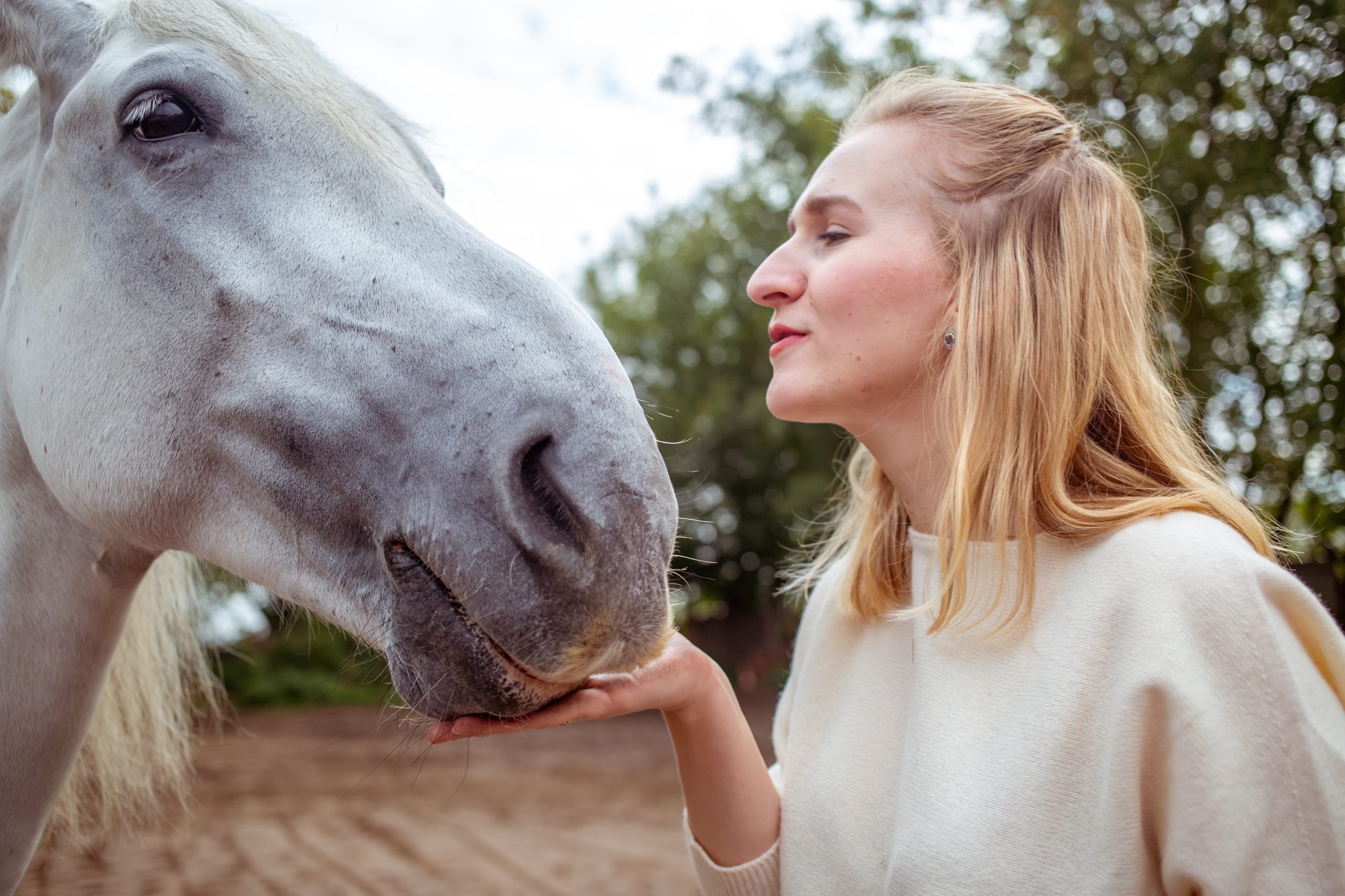 woman-touch-gently-horse-muzzle-portrait-of-best-2024-09-19-03-57-21-utc