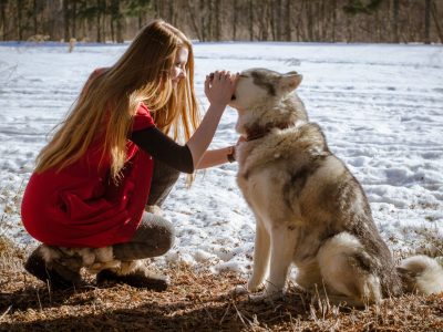Communication animale Niveau 3 – Approfondissement
